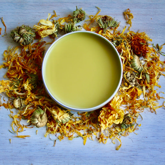 Balm in a container surrounded by dried flowers on a light blue background
