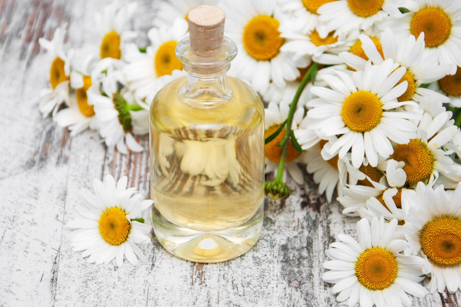 Botanical Facial Products