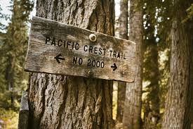 Wooden Pacific Crest Trail sign on a tree trunk in a forest setting